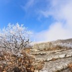 Прогулка на вершину Машука вдоль канатной дороги