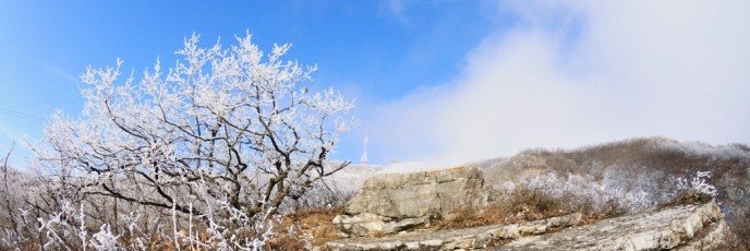 Зимние фотографии Машука вдоль канатки