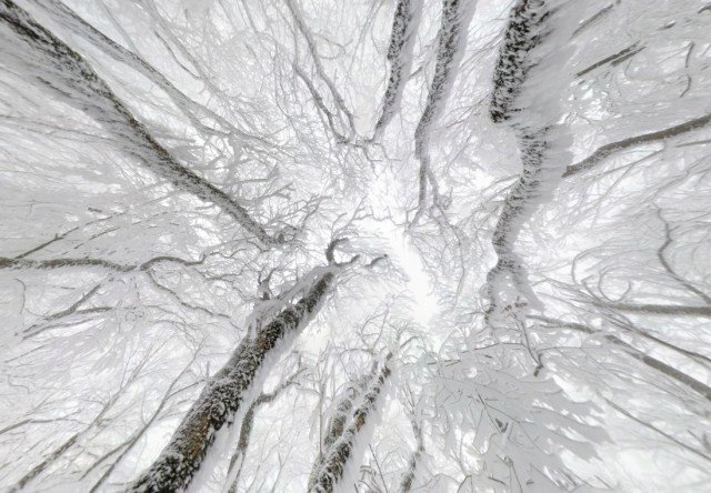 Зимняя панорама на горе Змейка Зимняя панорама на горе Змейка