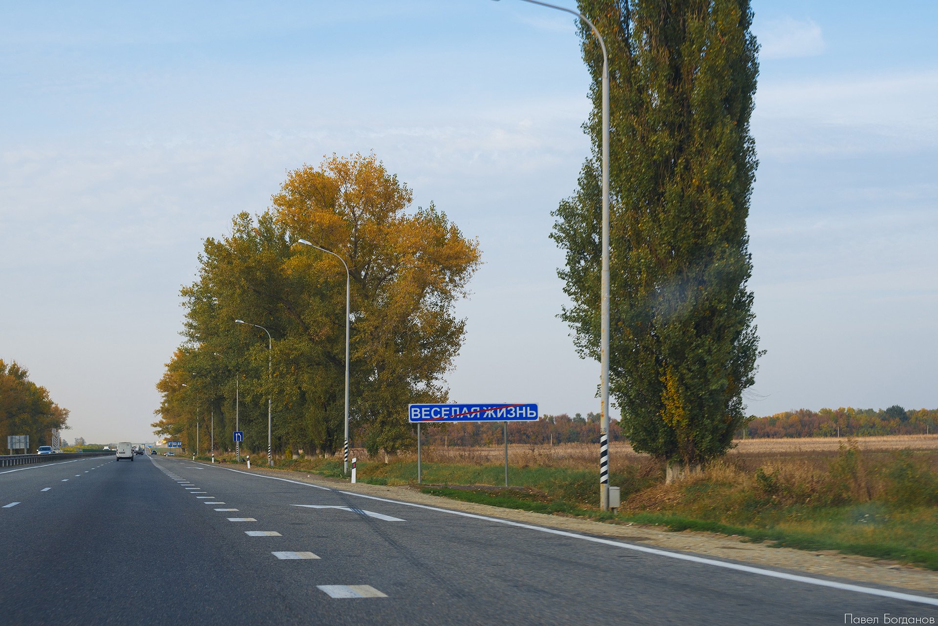 Прощай, веселая жизнь