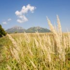 Дорога из Пятигорска на Бештау Дорога из Пятигорска на Бештау