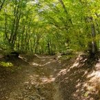 Дорога на Бештау Дорога на Бештау