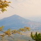 Машук, вид с тропы КГО Машук, вид с тропы КГО