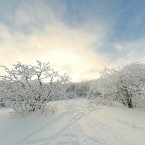 Снежный перекресток