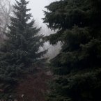 МС Гелиос 81Н - пейзаж