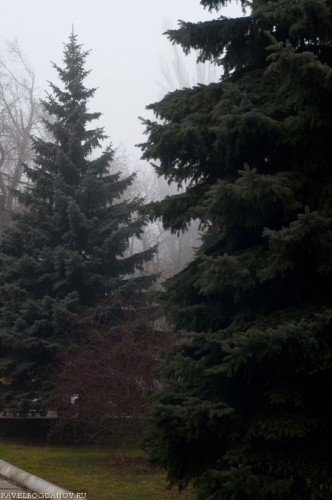 МС Гелиос 81Н - пейзаж