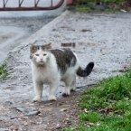 Он меня послал к черту