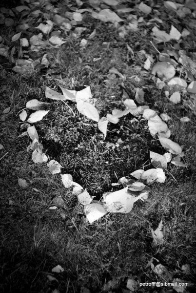 by pyotarr · фото 31