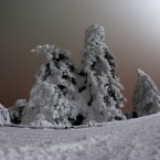 Заснеженные ели на вершине Машука