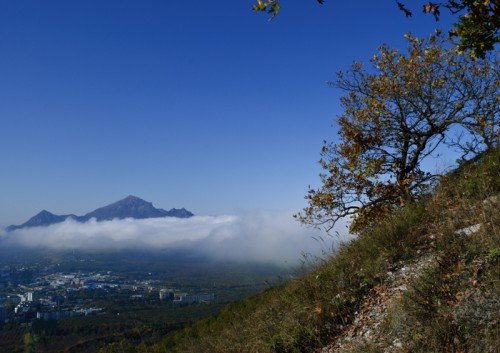 Дерево на склоне Машука. Бештау, облака, Пятигорск.
