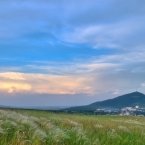 Ковыль у подножия Бештау, вид на Пятигорск