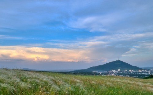 Ковыль у подножия Бештау, вид на Пятигорск