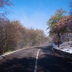 Кольцевая дорога недалеко от домика лесника