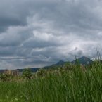Бештау, камыши - панорама Пятигорска