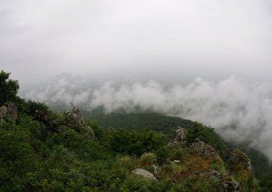 Туманное дождливое утро на Бештау
