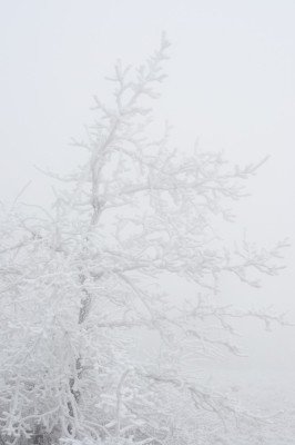 Гора Змейка