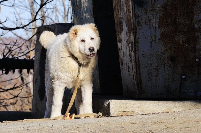 Охрана
