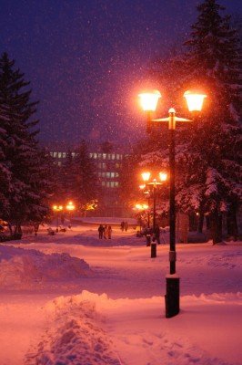 Фонари в снегу