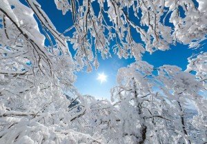 Зимняя панорама в лесу Машука
