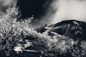 Черно-белые фотографии зимнего Машука