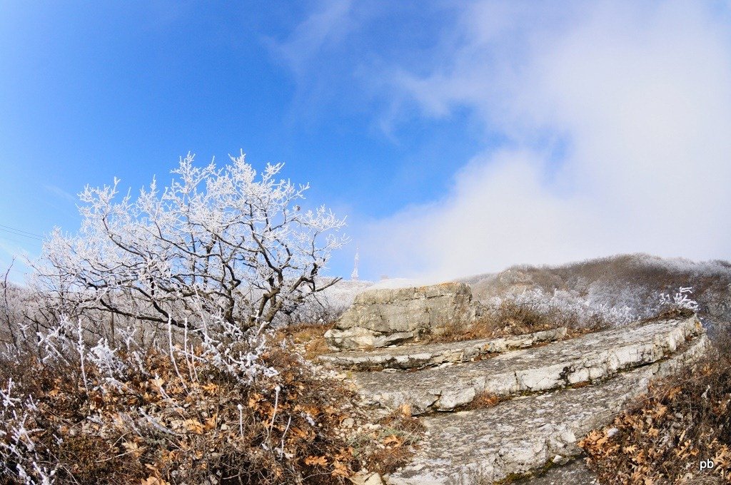 DSC_5085.jpg