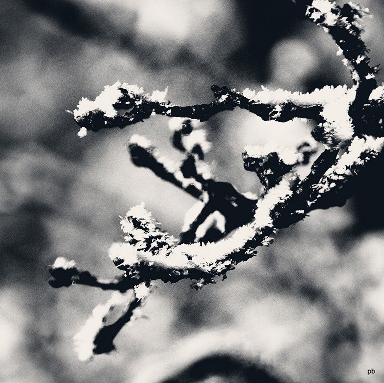 DSC_5166.jpg