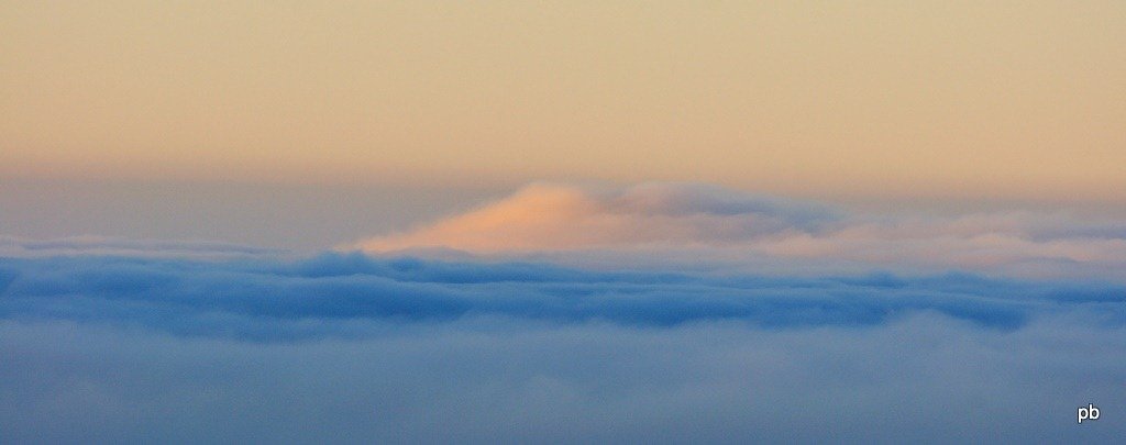 DSC_5460.jpg