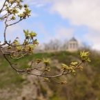 Весна идет по городу