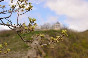 Весна идет по городу