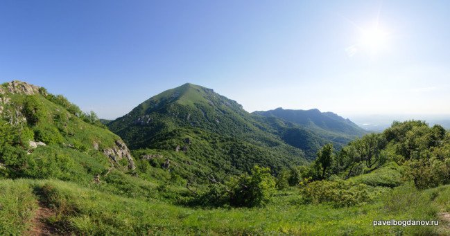 Лисий нос · фото 4