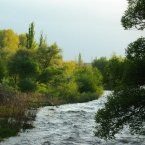 Подкумок в июне