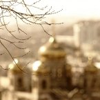 Почки набухают