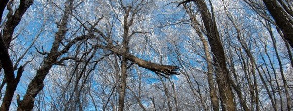 Фото 75 из «Зимний Пятигорск»