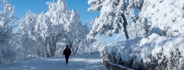 Фото 9 из «Зимний Пятигорск»