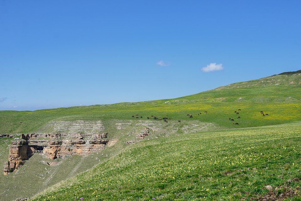 _DSC0072