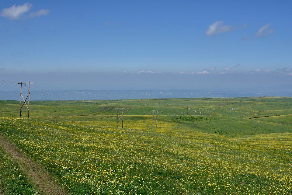 _DSC0102