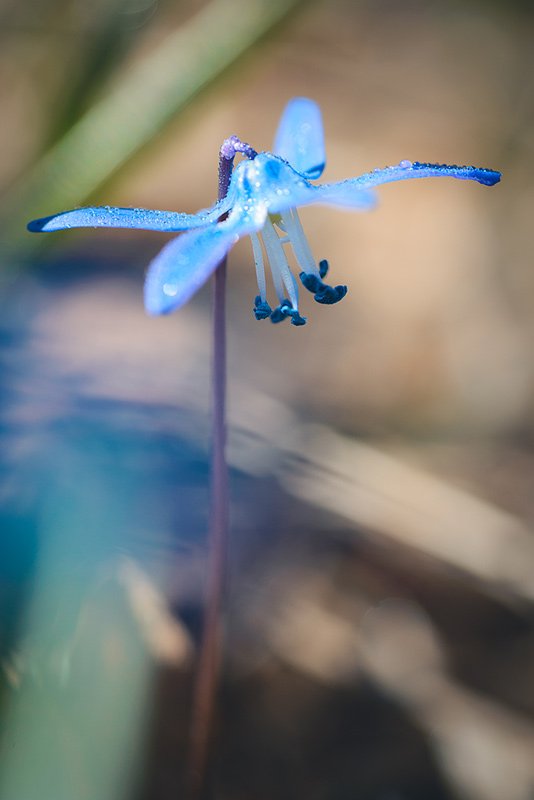 _DSC1320