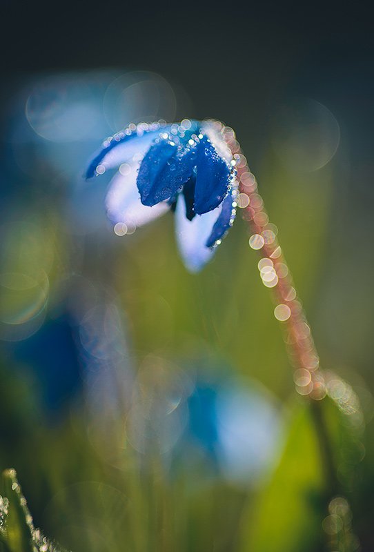 _DSC1389