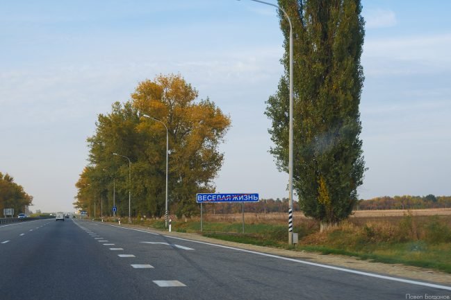 Прощай, веселая жизнь