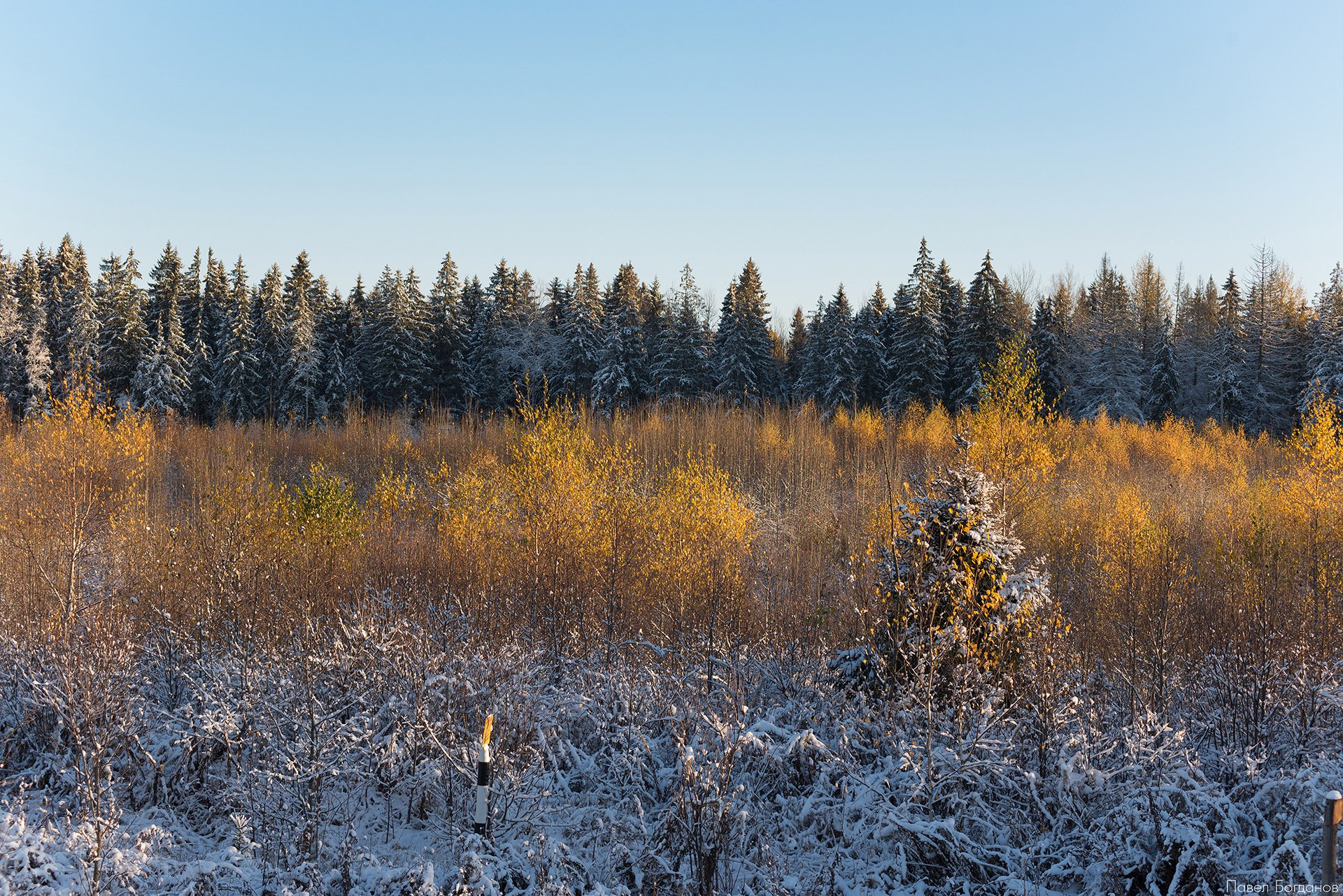 _DSC3210