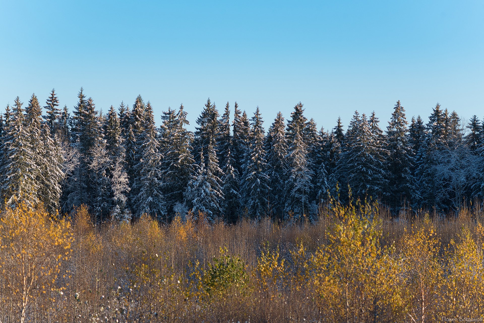 _DSC3213