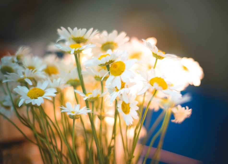 3 · фото 4