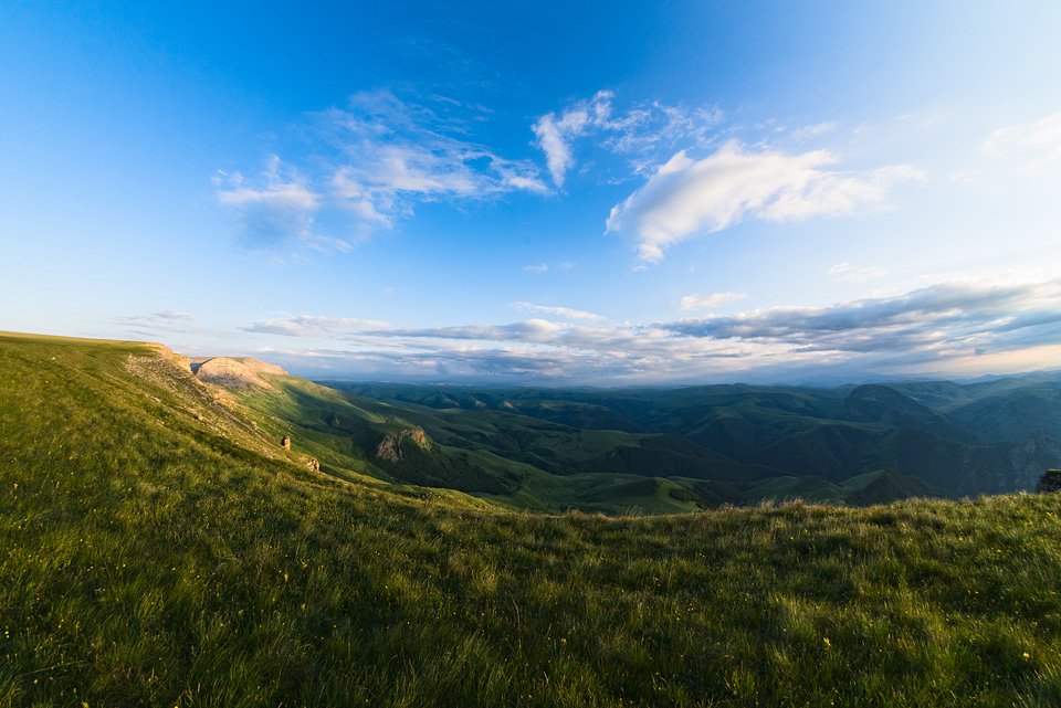 _DSC3992