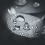 Макро - капли воды