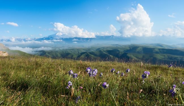 Бокерама - панорама с резкими объектами переднего плана