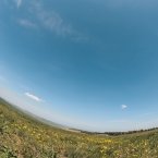 Альпийский луг