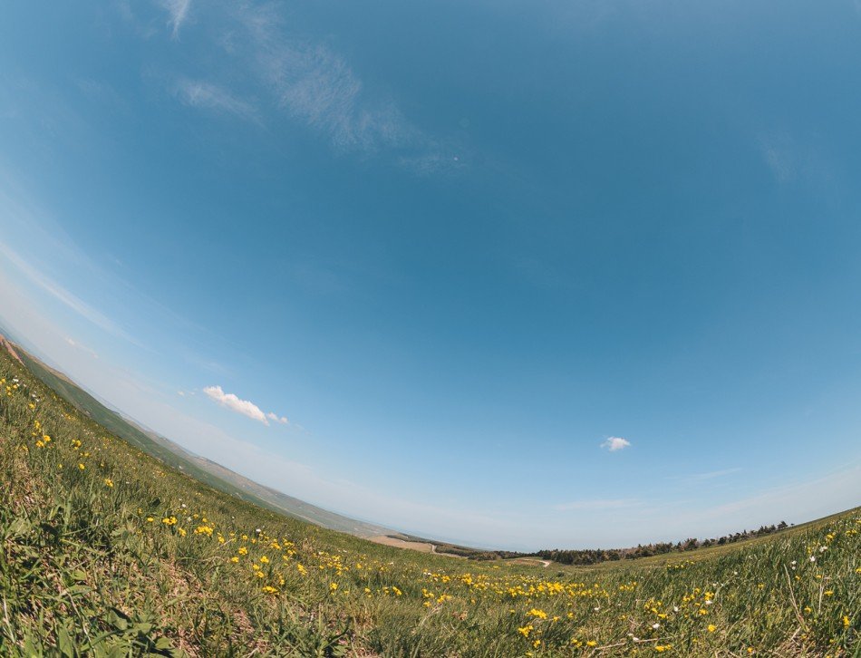 Альпийский луг