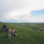 Всё в цветах