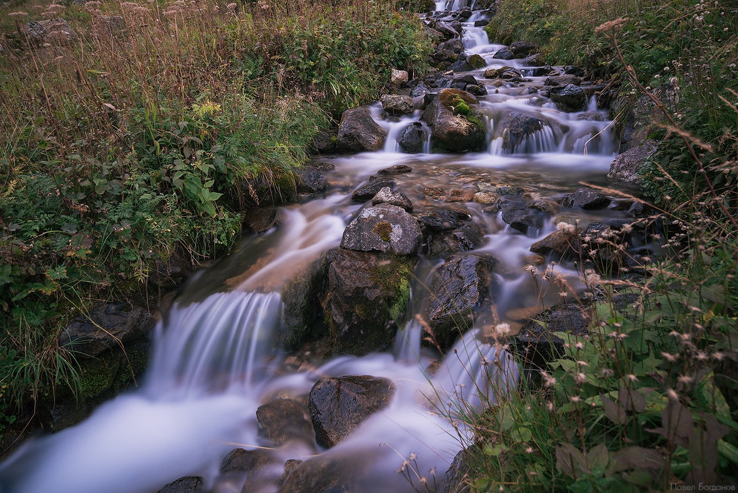 _DSC8145
