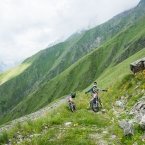 Оранжевые маки Цея